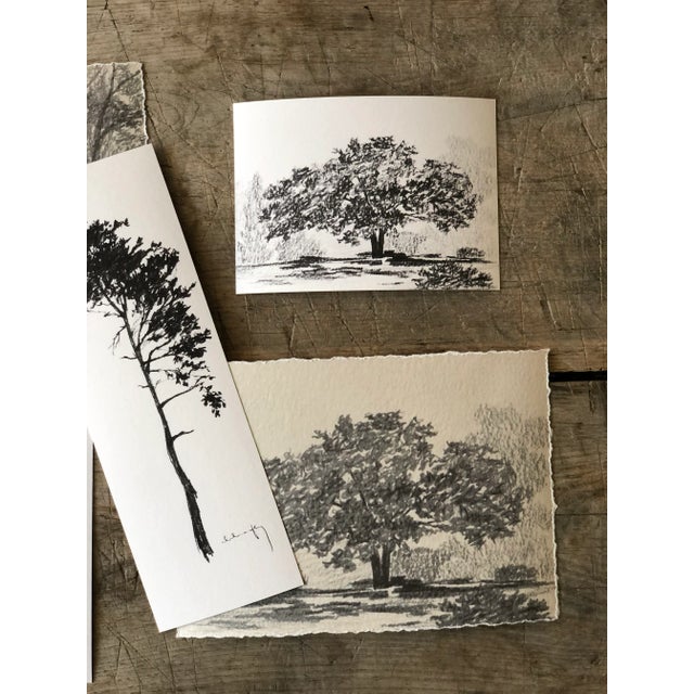 Paper "Print Collection: Tree Study" Contemporary Original Black and White Landscape Print on Paper For Sale - Image 7 of 7