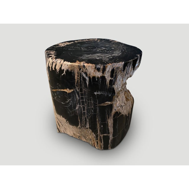 Andrianna Shamaris Ancient Sculptural Petrified Wood Side Table For Sale - Image 9 of 18