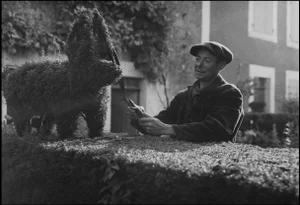 Robert Doisneau, The Boxwood Cutter, 1940s-1950s, Silver Gelatin Print