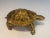 Circa 1970 Turtle Brass Sculpture, French For Sale - Image 4 of 13