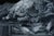 This oil on canvas artwork presents a dynamic scene of galloping horses, captured in a striking monochromatic palette that...