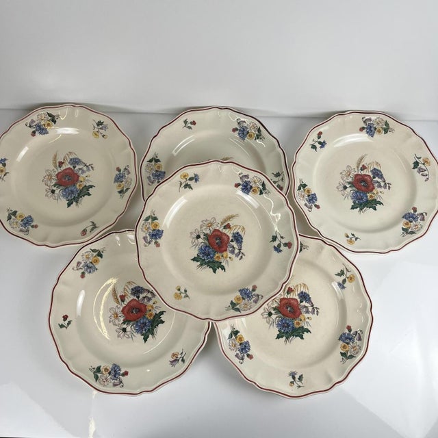 20th Century Flat Semi-Deep Agreste Plates from Sarreguemines, 1930s, Set of 6 For Sale - Image 11 of 11