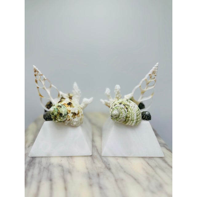 Shell Sculptures, a Pair, on Vintage Italian Marble Bases For Sale - Image 4 of 6