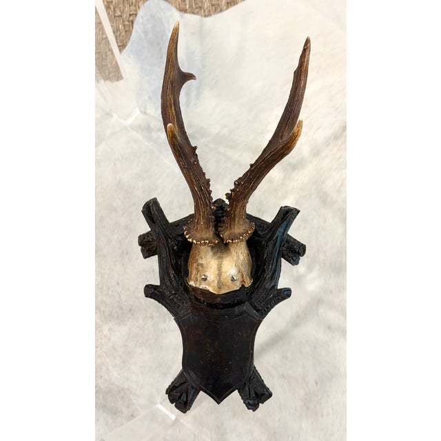 Roe Deer Black Forest antler mount with shield plaque ***I have a set of 3 listed separately*** CIRCA: 1890-1925 ORIGIN:...