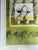 Early 21st Century Surreal Green Equine and Portrait Painting by Mike Tabor For Sale - Image 5 of 6