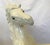 Mid Century Vintage Cast Ceramic Rearing White Mustangs With Glass Eyes- A Pair For Sale - Image 13 of 18
