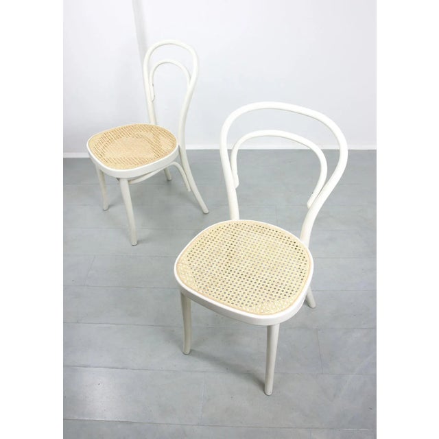 No. 214 Chairs, Set of 4, in None conditions. Designed 1890 to 1919