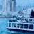 Mid-Century San Diego Waterfront Oil Painting of Coronado Ferryboat, Signed & Framed For Sale In San Diego - Image 6 of 10