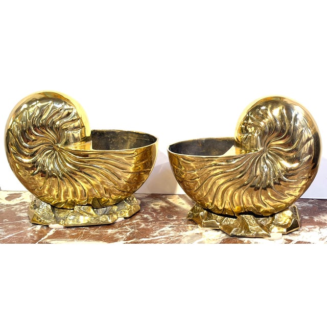 Modern Large Pair Polished Brass Nautilus Shell Vase by Sarreid, Spain, Circa 1970s For Sale - Image 3 of 10