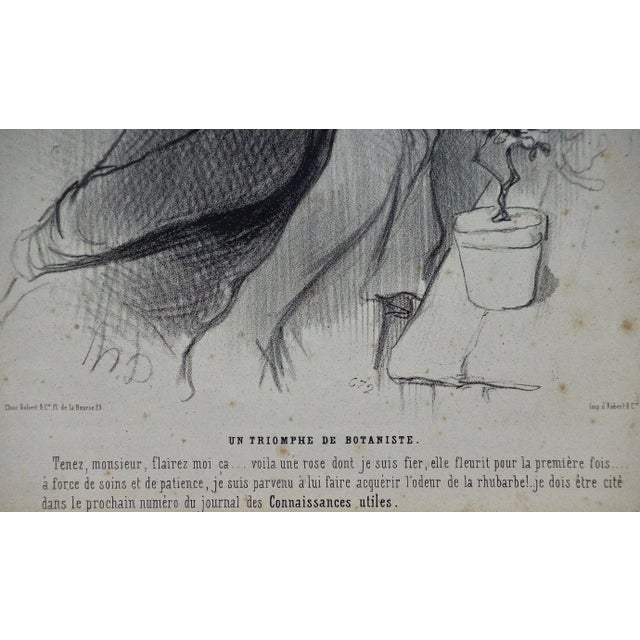 Mid 19th Century Honoré Daumier 19th Century Daumier Satirical Lithograph "Triumph of the Botanist", 1844 For Sale - Image 5 of 6