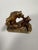 19th Century Christophe Fratin (1801–1864) "The Bear Fight" bronze sculpture, 19th century For Sale - Image 5 of 9