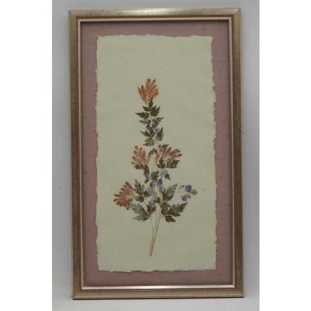 Set of 5 Vintage Pressed Wildflower Art on Hand Deckled Edge Paper For Sale - Image 4 of 11