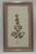 Set of 5 Vintage Pressed Wildflower Art on Hand Deckled Edge Paper For Sale - Image 4 of 11