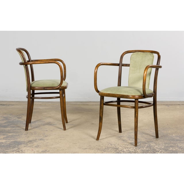 1950s Thonet Bentwood Armchairs in Willow Green Velvet – Pair For Sale - Image 10 of 18