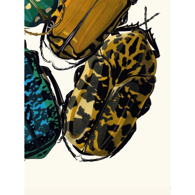 Not Yet Made - Made To Order Insects Plate 04 by Emile-Allain Séguy, Vintage Art Print Reproduction, 18" × 24" For Sale - Image 5 of 6