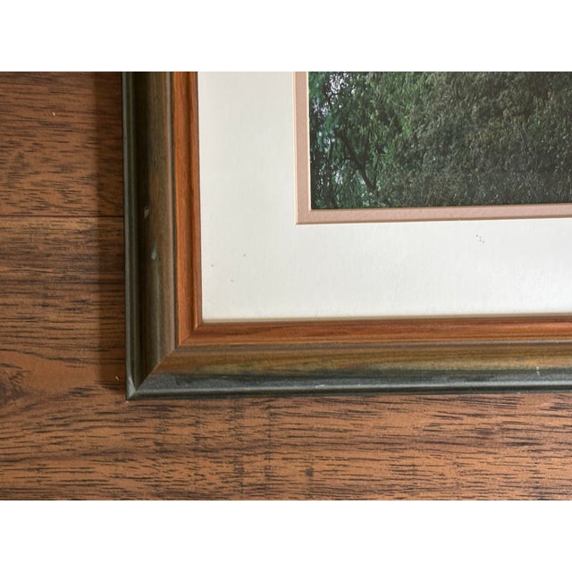 1990s Vintage Richard Berenholtz Framed Panoramic Garden Photography - Pair For Sale - Image 5 of 5