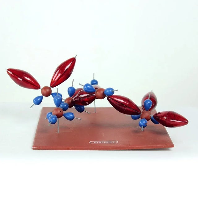 Plastic School Model of Diamant, Czechoslovakia, 1960s For Sale - Image 4 of 7