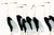 Vintage Japanese cranes illustration, digitally restored and refined for modern interiors. Featuring elegant elongated...