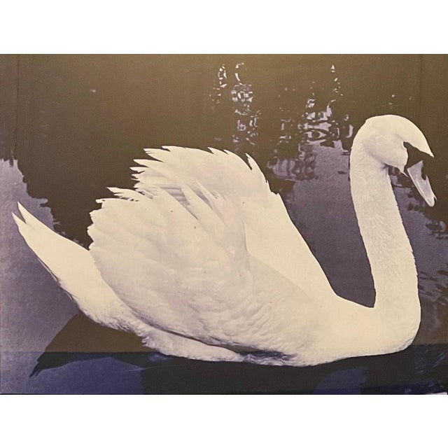 Sorel Cohen, Large Scale Color Photograph Ektacolor C Print Art Photo Typography Sorel Cohen, 1978 For Sale - Image 10 of 14