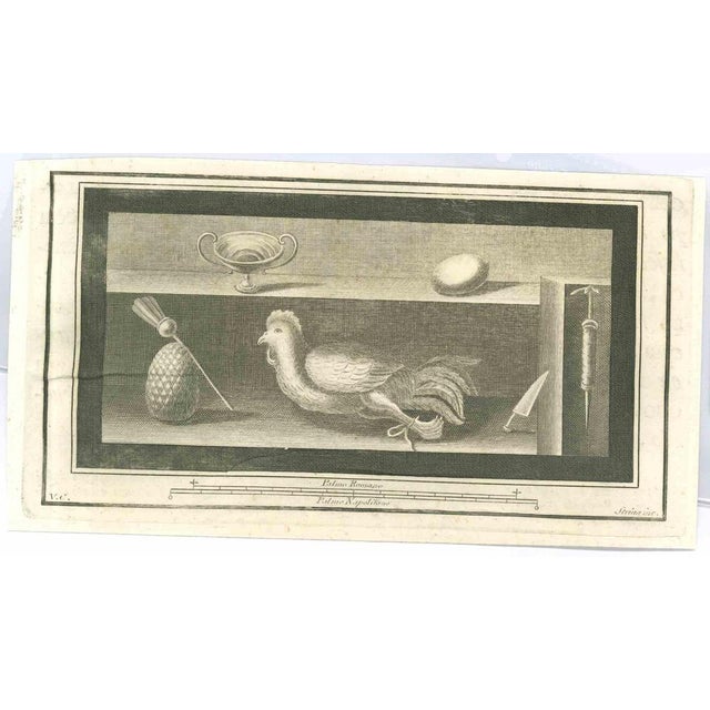 Still Life with Poultry from "Antiquities of Herculaneum" is an etching on paper realized by Fernando Strina in the 18th...