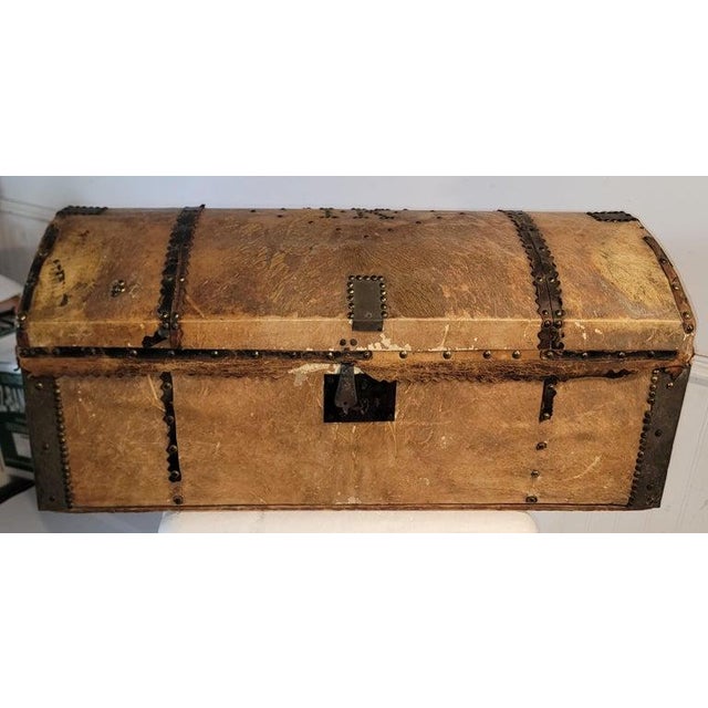 19th Century Cowhide Buggy Trunk For Sale - Image 4 of 9