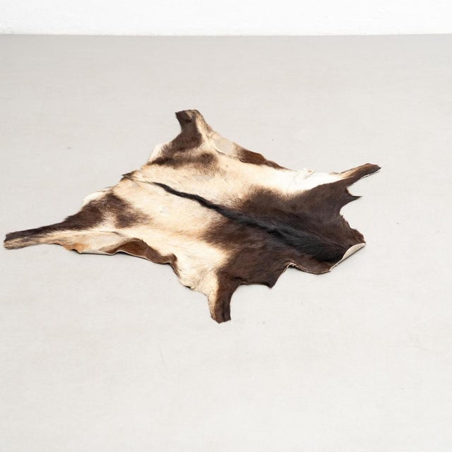 Immerse your space in untamed luxury with this distinctive goat leather rug. Crafted from the rich hide of wild boar, this...