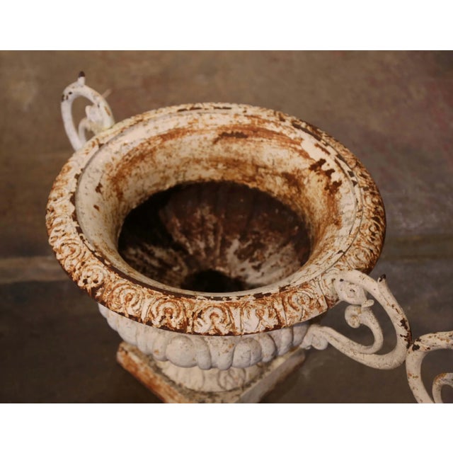 Metal 19th Century French Painted Weathered Iron Garden Urn Planters - Set of 2 For Sale - Image 7 of 9