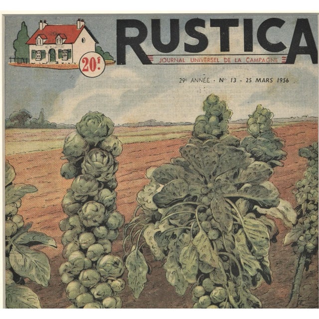 French Country Matted French Mid-Century Country Kitchen Art-Vegetables-Brussels Sprouts For Sale - Image 3 of 5