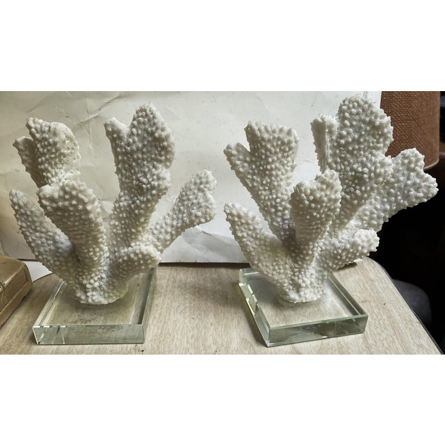 Here is a decorative pair of faux white thick finger coral pieces mounted on a glass base, they would be perfect for...