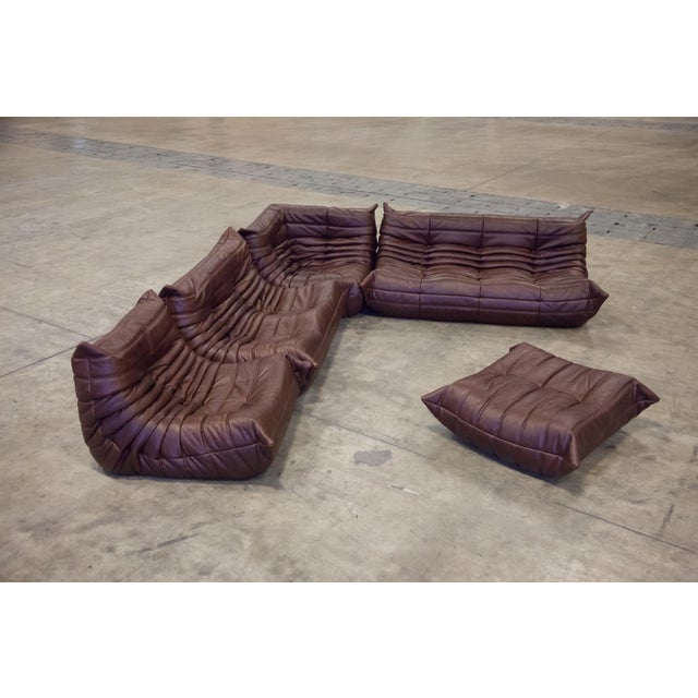 Chocolate Brown Leather Togo Sofa, 1970s, Set of 5 For Sale - Image 12 of 12