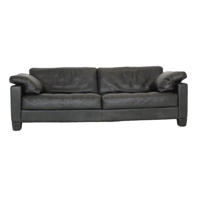 DS-17 Leader Leader Sofa from de Sede For Sale