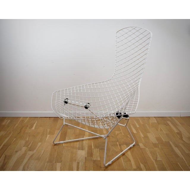 Bird Chair by Harry Bertoia for Knoll International, 1980s For Sale - Image 11 of 11
