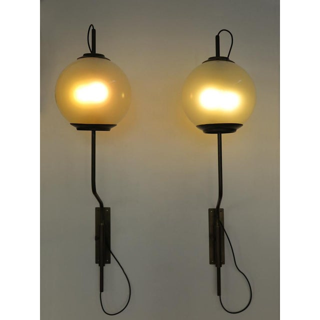Mid-Century Modern LP11 Wall Lamps in Brass and Glass by Luigi Caccia Dominioni for Azucena, Italy, 1950s, Set of 2 For Sale - Image 3 of 18