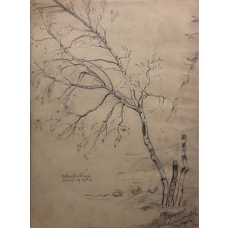1933 Nathan Kredenser Tree Drawing For Sale