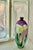 Miniature antique Japanese cloisonné Ginbari vase from the Meiji period (1868-1912), featuring a white and purple iris...