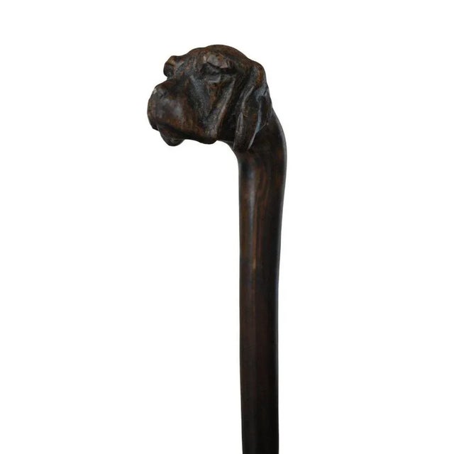 Antique Cane Carved with Dogs Head, 1900 For Sale - Image 6 of 8