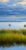 Original Coastal Marsh Oil Painting, 20 X 24 Unstretched Canvas, Blue Sky Wetlands Landscape Art For Sale - Image 4 of 4