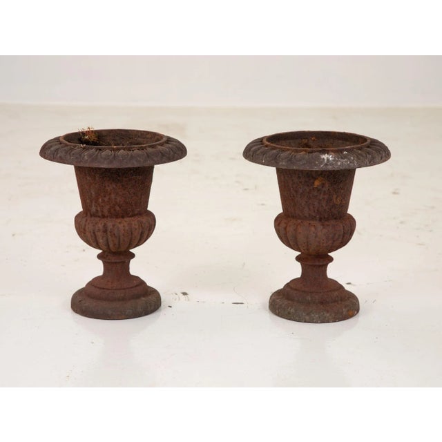 Pair of Cast Iron Urns, French 19th Century For Sale - Image 10 of 13