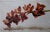 Contemporary Cymbidium Orchids II by Narelle Zeller | Oil Painting of red cymbidium orchids on a branch For Sale - Image 3 of 3