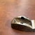 Mid-Century Modern 1970s Small Silver Etched Tape Dispenser With Floral Details For Sale - Image 3 of 10