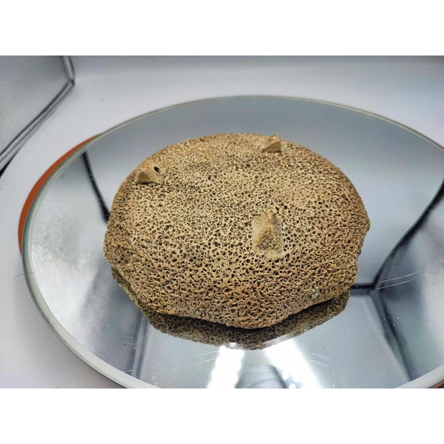 Vintage Ceramic Plate Matador, 1980s For Sale - Image 6 of 8