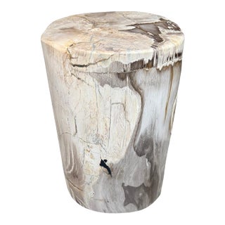 Andrianna Shamaris Ancient Petrified Wood Side Table For Sale