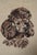 American Vintage Mid-20th Century Hand-Stitched Needlepoint Poodle Portrait in Wood Frame For Sale - Image 3 of 6