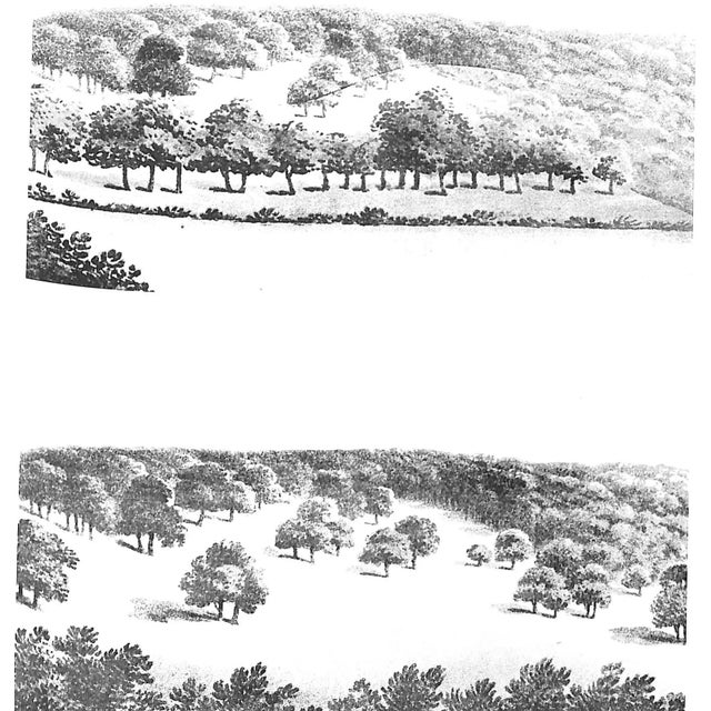 1990s "China and Gardens of Europe of the Eighteenth Century" 1990 Siren, Osvald For Sale - Image 5 of 12