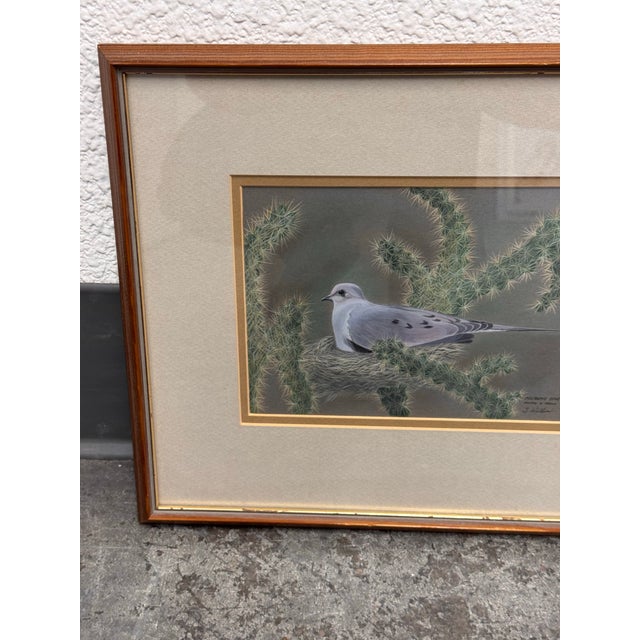 Signed S. Wicklund “Mourning Dove Nesting in Cholla” Framed Original Bird Illustration For Sale In San Francisco - Image 6 of 12