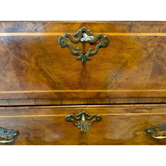 Brown 19th Century English Burled Walnut Highboy Chest on Stand For Sale - Image 8 of 18