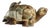 Hard Stone Turtle Sculpture For Sale