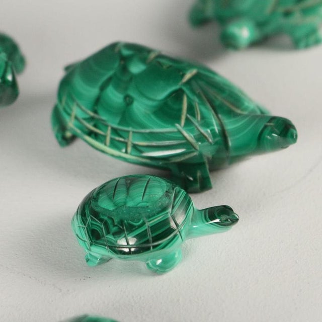 Vintage Green Malachite Turtles, Set of 12 For Sale - Image 5 of 7