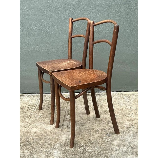 Mid 20th Century Vintage Carved Crocodile Wood Dining Chairs - A Pair For Sale - Image 5 of 12