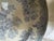 Ceramic Mid 19th Century English Transfer Ware Plate For Sale - Image 7 of 14